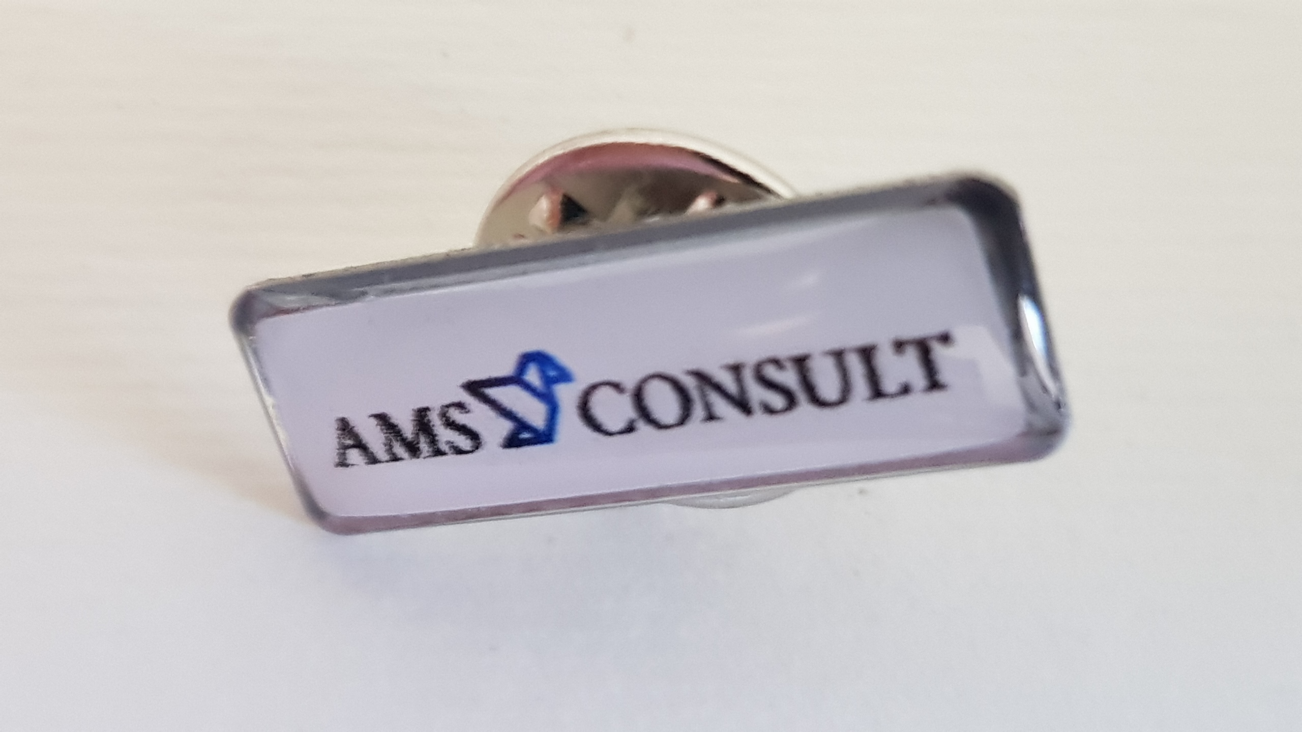 Pinsy AMS Consult